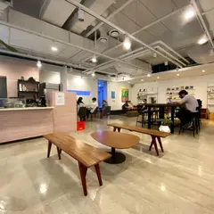 Sasa