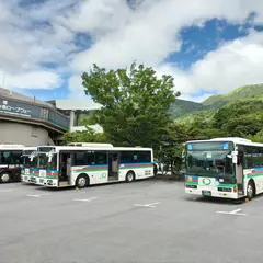 箱根園（バス）