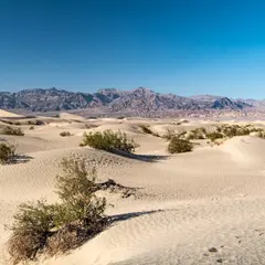 Mesquite Flat Sand Dunes Parking