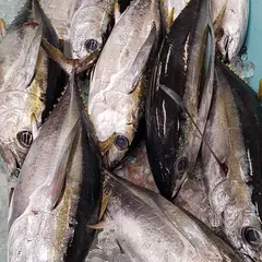 泡瀨漁港