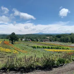 ぜるぶの丘駐車場