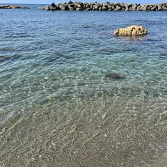 藻浦崎公園
