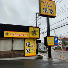 王道家直系 環家