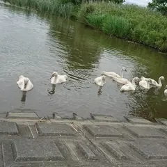 水道橋