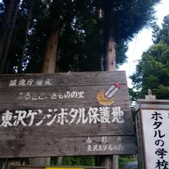 東沢ゲンジボタル保護地