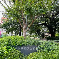 渋谷区立桜丘公園
