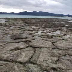 奥武島