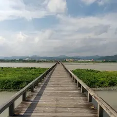 蓬莱橋展望台