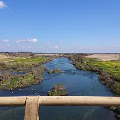 藤岡大橋