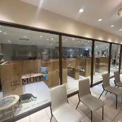 ネコカフェ Cat Café MOFF 天王寺ミオ店
