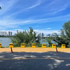 漢江市民公園 蚕室