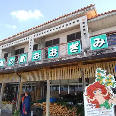 道の駅 おおぎみ