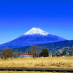 浮島ヶ原自然公園