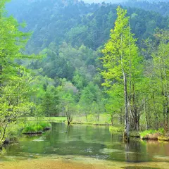 田代池