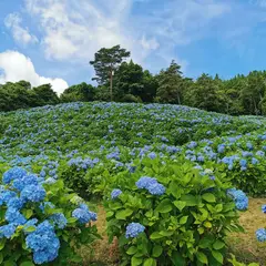 赤坂公衆園