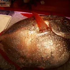 (株)天池 魚勝 土浦店