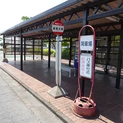 岐阜大学