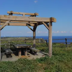 立神岩西展望台