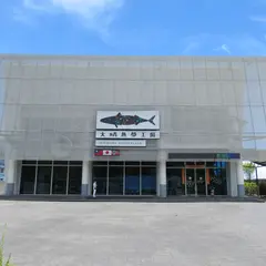 大鯖魚夢工廠