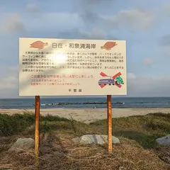 和泉浦