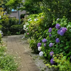 オープンガーデン柴山