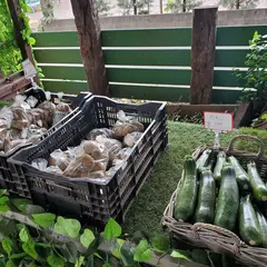 ベンズファーム