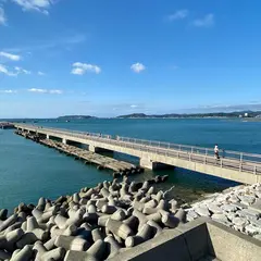 渚の駅たてやま 展望テラス