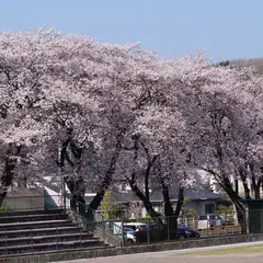 駒生運動公園