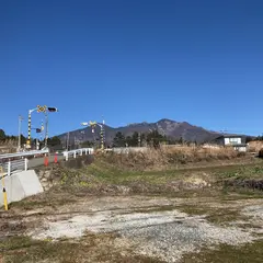 新磨ブルーベリー園