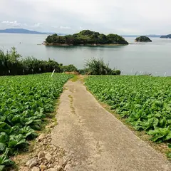 前島夕陽公園