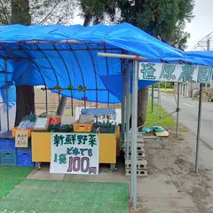 笹原農園(スイカ)笹原 一好