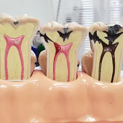 上林歯科医院