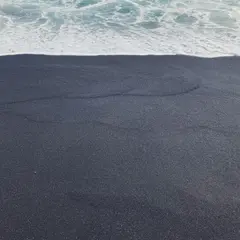砂の浜