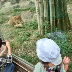 東山公園 動物園西駐車場