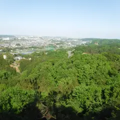 網代弁天山公園