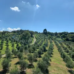 Virgin Valley Awaji Olive Farm（バージンバレー淡路オリーブ園）