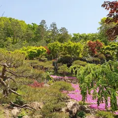 Hwadam Botanical Garden