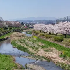 東京都立富士森高等学校