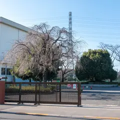 東京都立小平西高等学校