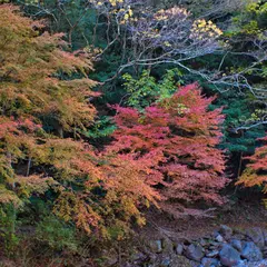 春日渓谷