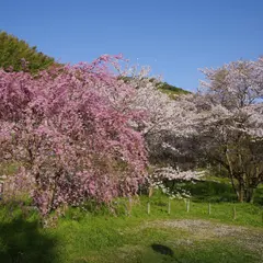 永山水辺公園