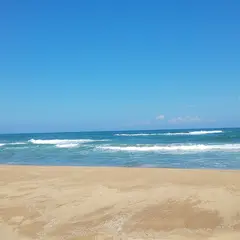 浜村海岸