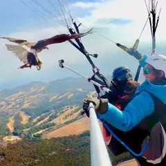 パラホーキング イン ジャパン パラグライダースクール