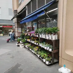 伊丹ショッピングデパート