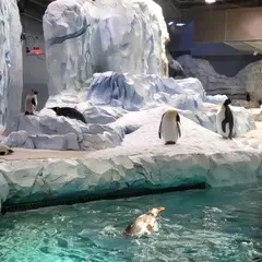 デトロイト動物園