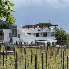 Cantina del Vesuvio Winery Russo Family