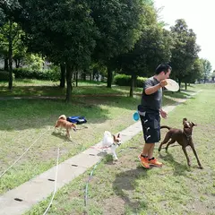 Ｄｏｇ＆Ｐｅａｃｅ．