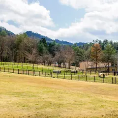 原山公園ドッグラン