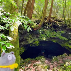 龍宮洞穴