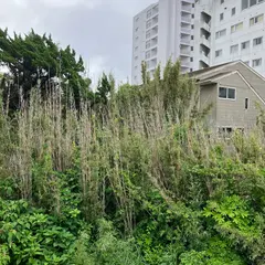 民宿旅館 浜吉